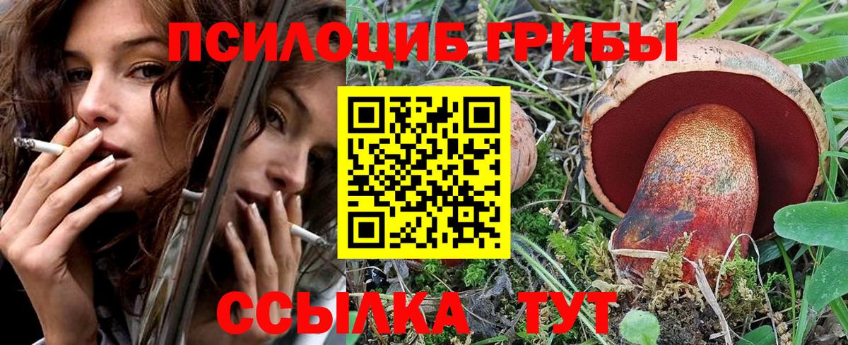 Псилоцибиновые грибы Psilocybe Чехов