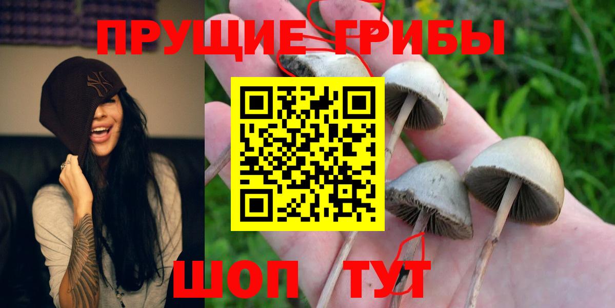 Чехов  купить наркоту  Вход с VPN  Галлюциногенные грибы мицелий 