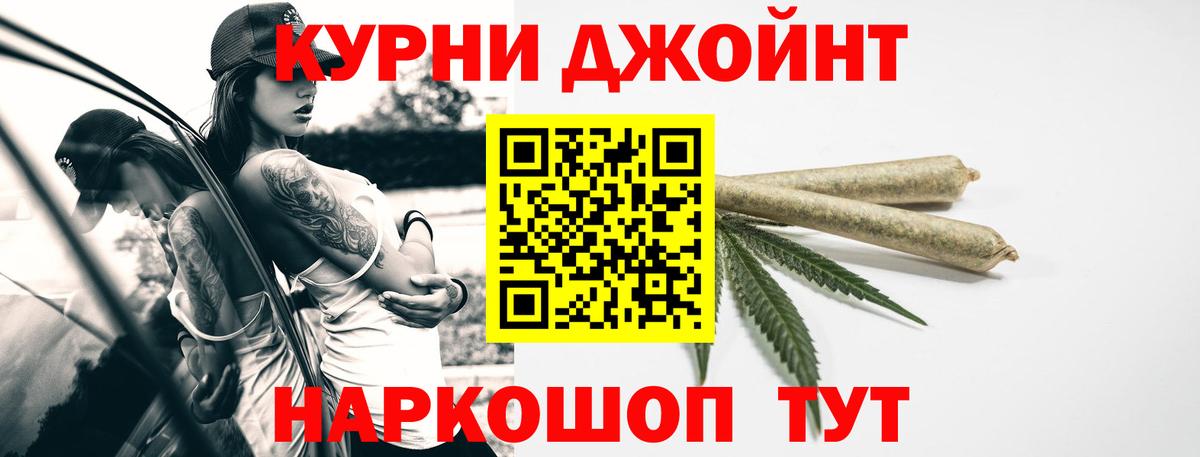 Конопля сатива Чехов